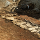 Illustration for article titled An Ancient Viking-Age Hut Has Been Uncovered in Downtown Reykjavik